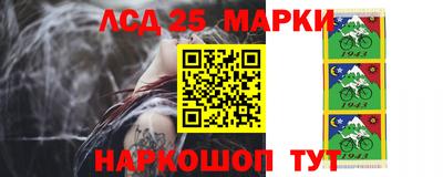 Альфа ПВП Гатчина