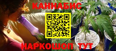Альфа ПВП Гатчина