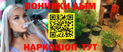 Альфа ПВП Гатчина