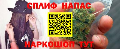 Альфа ПВП Гатчина