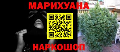 Альфа ПВП Гатчина