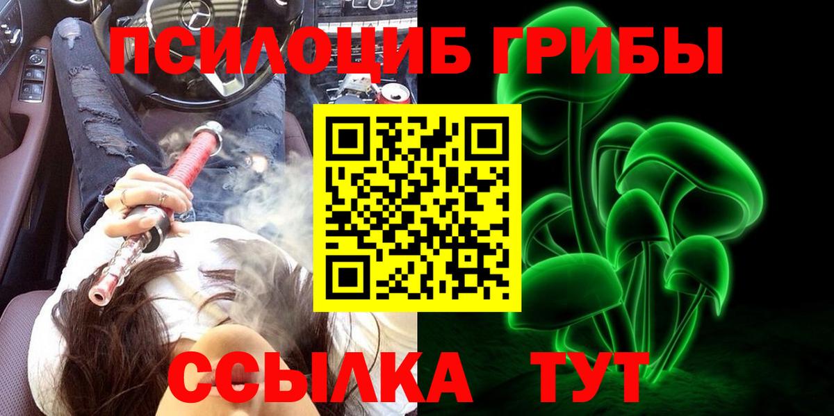 Рязань  Псилоцибиновые грибы мицелий  Вход с VPN 