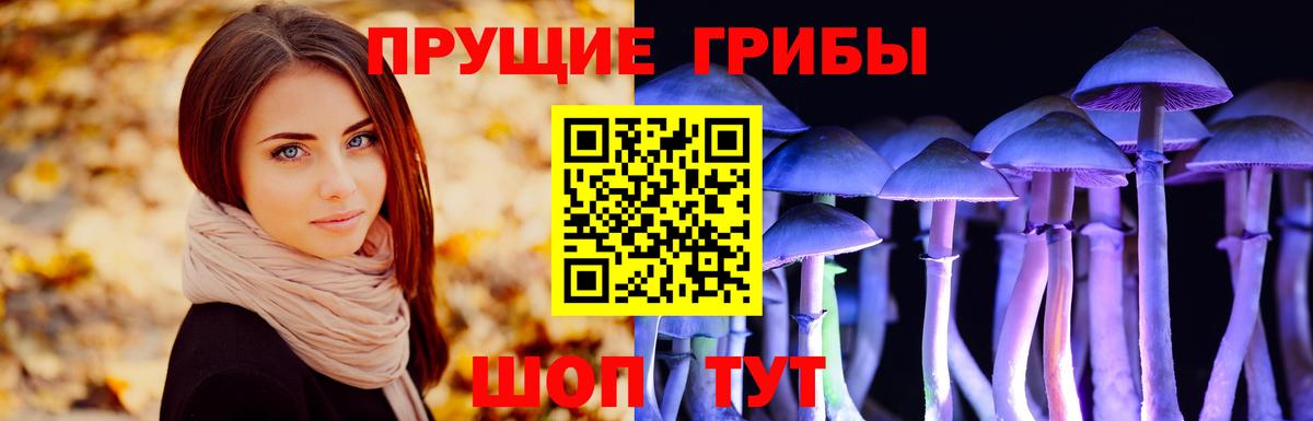 Псилоцибиновые грибы GOLDEN TEACHER Рязань